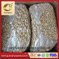 Jumbo Size Roasted Salted Blanched Peanut Kernels